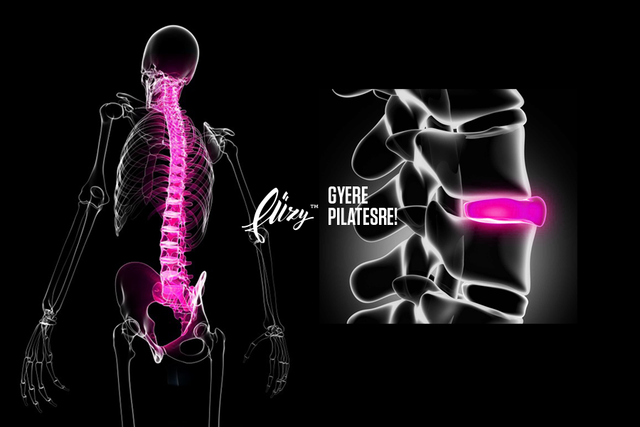 12295310_543178172515917_3260685802500704813_n 