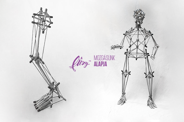 biontensegrity 